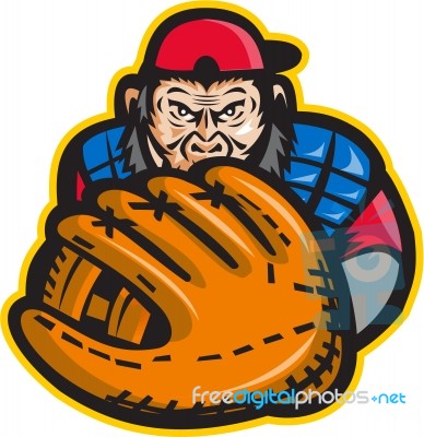 Chimpanzee Baseball Catcher Glove Retro Stock Image