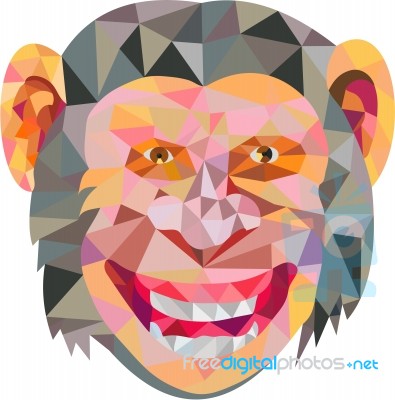 Chimpanzee Head Front Low Polygon Stock Image