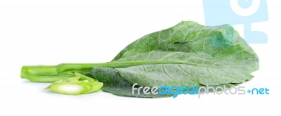 Chinese Broccoli On The White Background Stock Photo