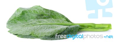 Chinese Broccoli On The White Background Stock Photo