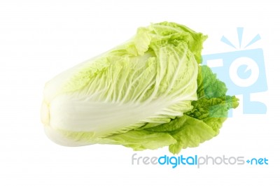 Chinese Cabbage Head On White Background Stock Photo