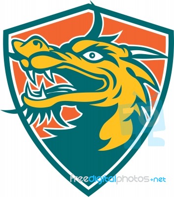 Chinese Dragon Head Shield Retro Stock Image