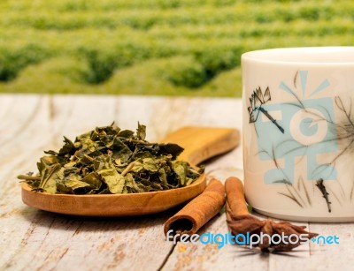 Chinese Green Tea Represents Break Time And Breaktime Stock Photo