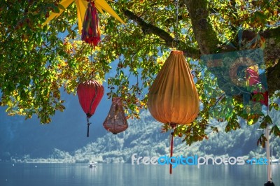 Chinese Lanterns Hanging From A Tree In Hallstatt Stock Photo