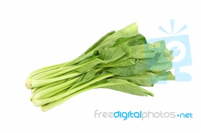 Chinese Mustard Green Vegetable On White Background Stock Photo