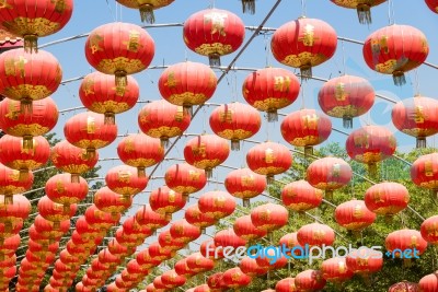 Chinese Paper Lantern Stock Photo