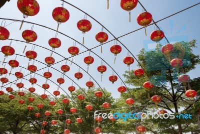 Chinese Paper Lantern Stock Photo