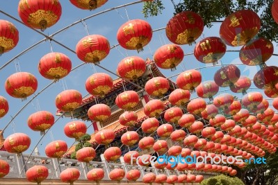 Chinese Paper Lantern Stock Photo