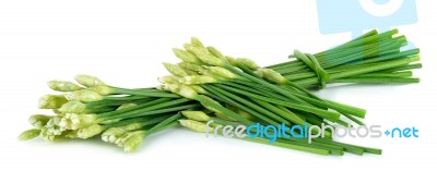 Chives Flower Or Chinese Chive Isolated On White Background Stock Photo