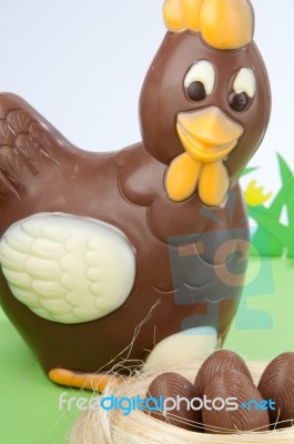 Chocolate Chicks Stock Photo