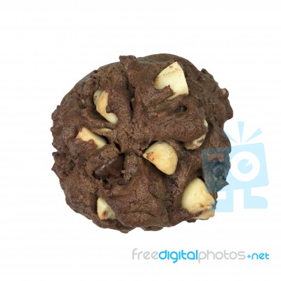 Chocolate Cookie With Macadamia Isolated On White Stock Photo