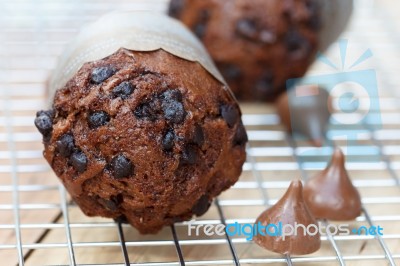 Chocolate Cupcake Stock Photo