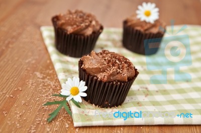 Chocolate Cupcakes Stock Photo