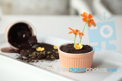 Chocolate Pudding Dirt Stock Photo