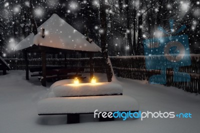 Christmas Lights In Forest At Christmas Night. Night Xmas Backgr… Stock Photo