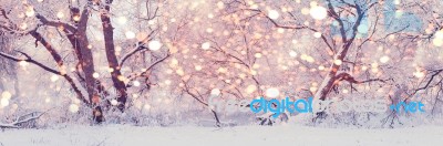 Christmas Morning In Central Park. Snowy Winter Background Stock Photo