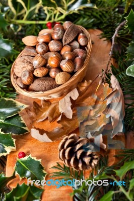 Christmas Nuts Stock Photo