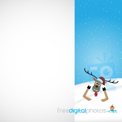 Christmas Reindeer White Background  Stock Image