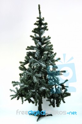 Christmas Tree Stock Photo