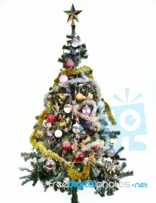 Christmas Tree Stock Photo