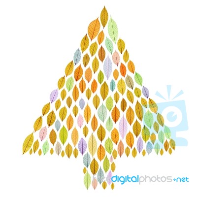 Christmas Tree Stock Image