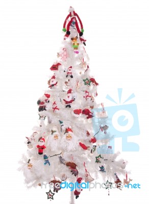 Christmas Tree Stock Photo