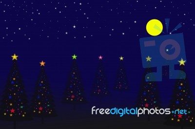 Christmas Tree  Stock Image