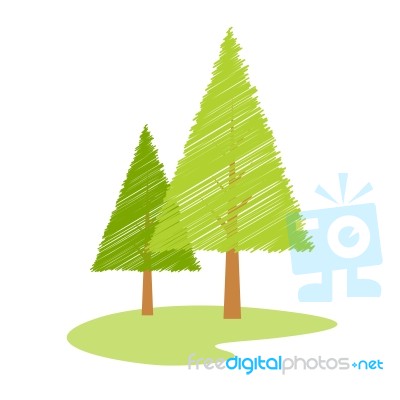 Christmas Tree Stock Image