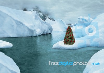 Christmas Tree Stock Photo