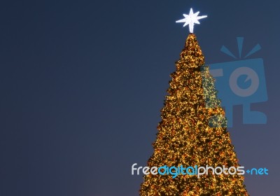 Christmas Tree Stock Photo