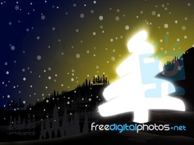 Christmas Tree Night Stock Image