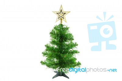 Christmas Tree With Gold Star On White Background Stock Photo