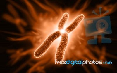 Chromosome Stock Image