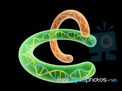 Chromosome And Dna Stock Image