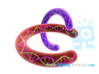 Chromosome And Dna Stock Image