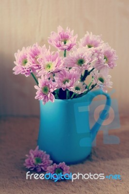 Chrysanthemum Flowers Stock Photo