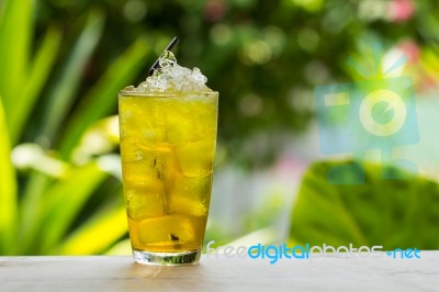 Chrysanthemum Tea Stock Photo