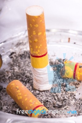 Cigarette Butt Stock Photo