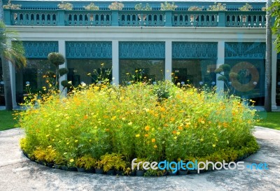 Circle Flower Garden Stock Photo