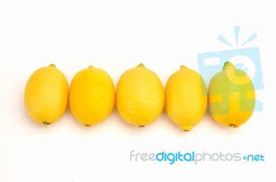 Citrus Stock Photo