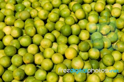 Citrus Stock Photo