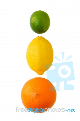 Citrus Fruits Stock Photo