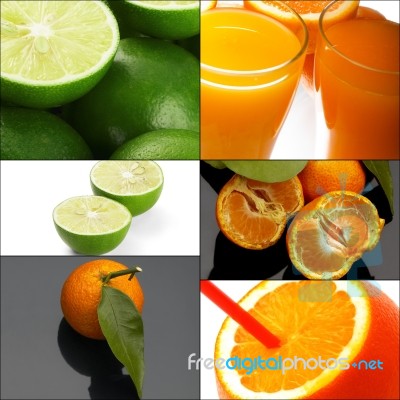 Citrus Fruits Collage Stock Photo