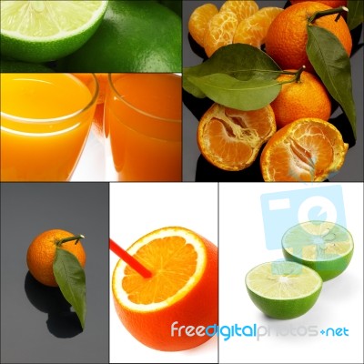 Citrus Fruits Collage Stock Photo