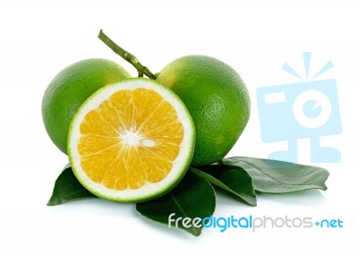 Citrus Sinensis Isolated On The White Background Stock Photo