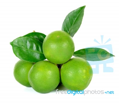 Citrus Sinensis Isolated On The White Background Stock Photo