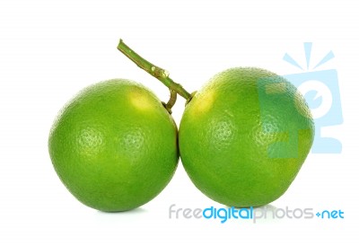 Citrus Sinensis Isolated On The White Background Stock Photo