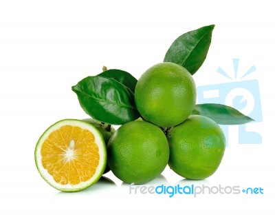 Citrus Sinensis Isolated On The White Background Stock Photo