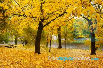 City Park In Autumn Stock Photo