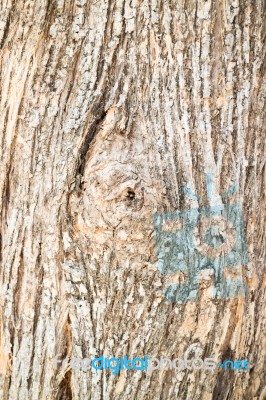 Classic Old Wooden Texture Background Stock Photo